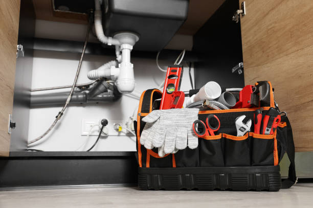Best Same-Day Plumbing Service  in Sneads, FL