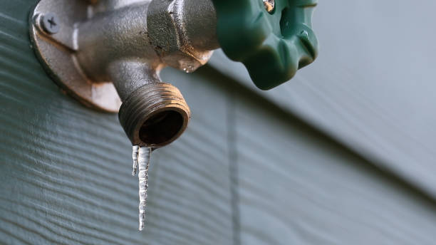 Best Commercial Plumbing Services  in Sneads, FL